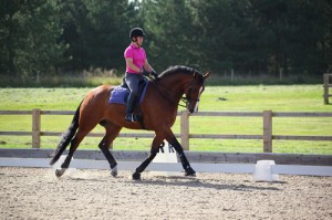 Sarah Payne riding Sheepgate Ushipower