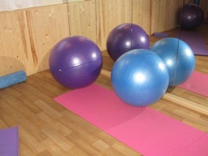 Equi Pilates Gym Balls